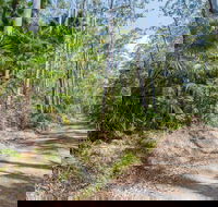 Tip to Tail Trail - Accommodation Georgetown
