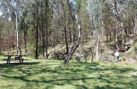 Wallaby Walking Track - Accommodation Georgetown 0