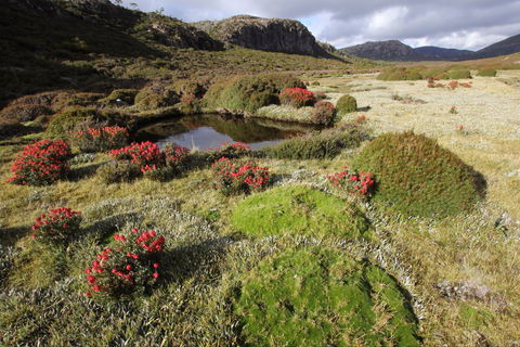 Walls Of Jerusalem National Park - Accommodation Georgetown 1
