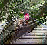 Wonga Walk - Accommodation Georgetown