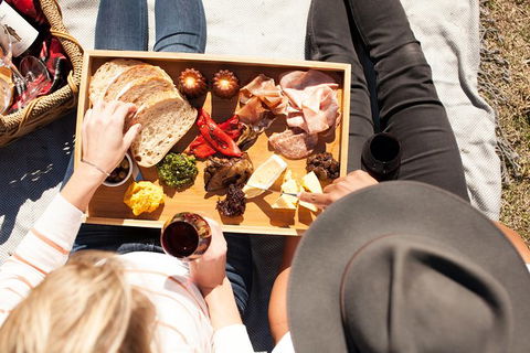 Audrey Wilkinson Vineyard: Picnic With Wine Masterclass Tasting - Accommodation Georgetown 1