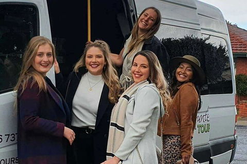 The Wine Connoisseur\'s Hunter Valley Wine Tasting Tour, Full Day - Accommodation Georgetown 5