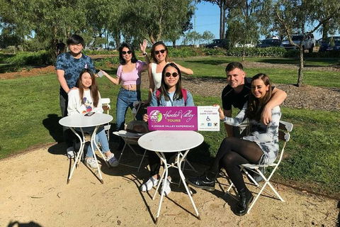 The Wine Connoisseur\'s Hunter Valley Wine Tasting Tour, Full Day - Accommodation Georgetown 2
