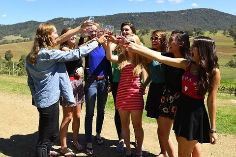 Hunter Valley Wine Tour Ex Newcastle Incl Lunch, Cheese, Chocolate & Distillery - Accommodation Georgetown 10