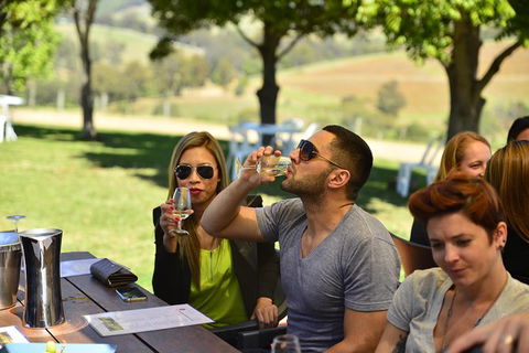 Hunter Valley Wine Tour Ex Newcastle Incl Lunch, Cheese, Chocolate & Distillery - Accommodation Georgetown 0