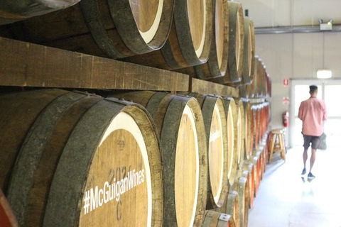 Hunter Valley Wine Tour Ex Newcastle Incl Lunch, Cheese, Chocolate & Distillery - Accommodation Georgetown 1