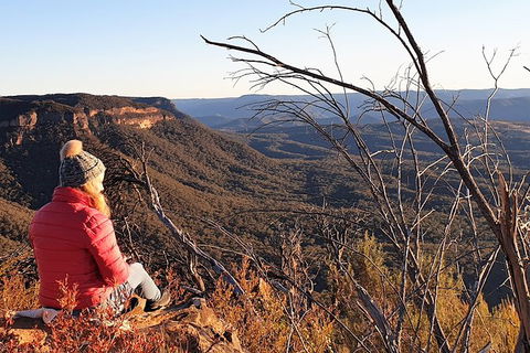 Ultimate Blue Mountains Waterfalls, Walks & Sunset PRIVATE Tour - Accommodation Georgetown 5