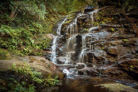 Ultimate Blue Mountains Waterfalls, Walks & Sunset PRIVATE Tour - Accommodation Georgetown 10