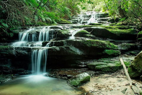 Ultimate Blue Mountains Waterfalls, Walks & Sunset PRIVATE Tour - Accommodation Georgetown 2