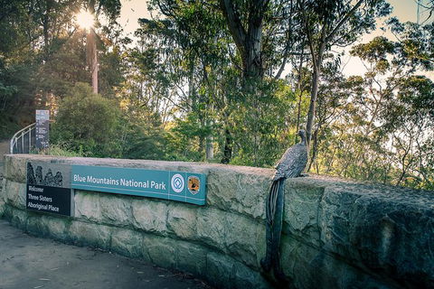 Ultimate Blue Mountains Waterfalls, Walks & Sunset PRIVATE Tour - Accommodation Georgetown 8