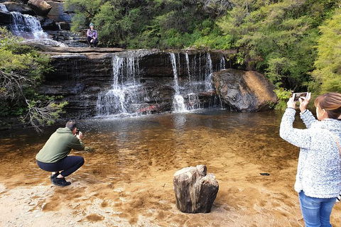 Ultimate Blue Mountains Waterfalls, Walks & Sunset PRIVATE Tour - Accommodation Georgetown 0