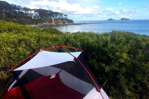 Batemans Bay Overnight Kayak Camping Tour - All Inclusive - Accommodation Georgetown 0