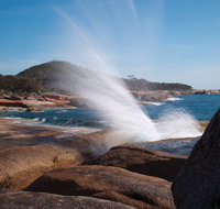 Bicheno Blowhole - Accommodation Georgetown