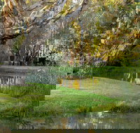 Gateway Island Parklands - Accommodation Georgetown