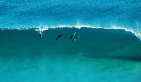 Sand Patch - Accommodation Georgetown 1