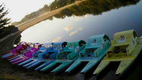 Terrigal Paddle Boats And Stand Up Paddle Boards - Accommodation Georgetown 0