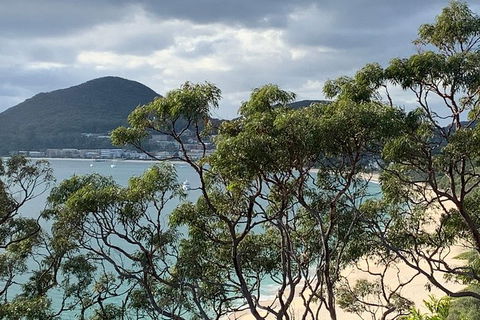 Newcastle Airport To The Tomaree Peninsula. - Accommodation Georgetown 0