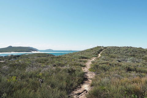 Big Rocky! Full Day Guided Walk - Accommodation Georgetown 5