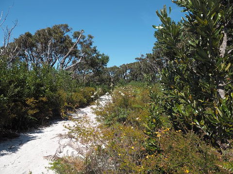 Big Rocky! Full Day Guided Walk - Accommodation Georgetown 8