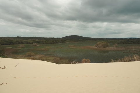 Big Rocky! Full Day Guided Walk - Accommodation Georgetown 6