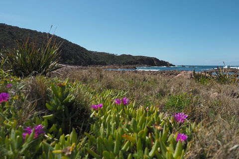 Big Rocky! Full Day Guided Walk - Accommodation Georgetown 0