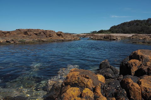 Big Rocky! Full Day Guided Walk - Accommodation Georgetown 2