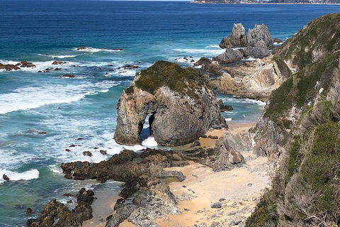 Narooma And Tilba Valley Private Tour - Accommodation Georgetown 8