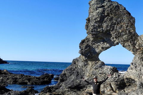 Narooma And Tilba Valley Private Tour - Accommodation Georgetown 4