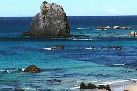 Narooma And Tilba Valley Private Tour - Accommodation Georgetown 9