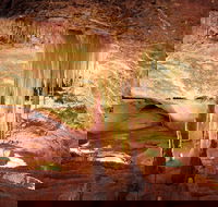 Jenolan Caves Ribbon Cave Tour - Accommodation Georgetown