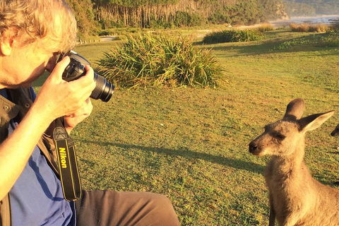 Highlights Of The Eurobodalla (half Day Private Tour) - Accommodation Georgetown 2