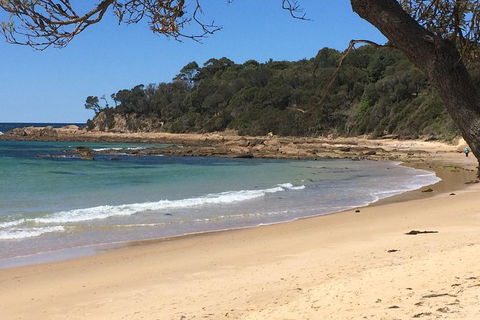 Highlights Of The Eurobodalla (half Day Private Tour) - Accommodation Georgetown 5