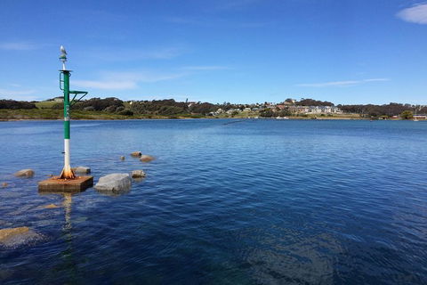 Highlights Of The Eurobodalla (half Day Private Tour) - Accommodation Georgetown 14