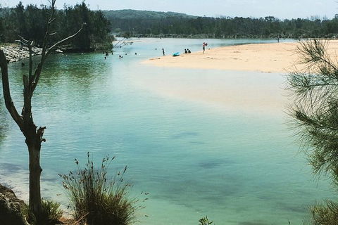 Highlights Of The Eurobodalla (half Day Private Tour) - Accommodation Georgetown 6