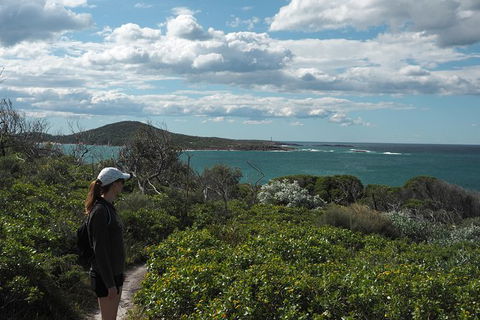 Boulder Bay Half Day Guided Walk - Accommodation Georgetown 5