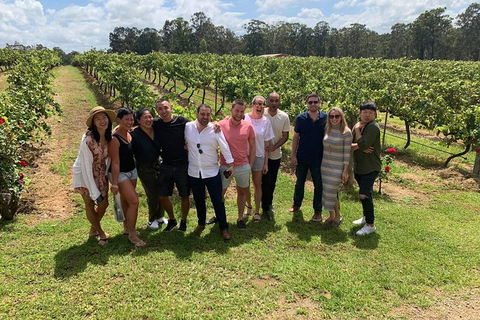 Hunter Valley Exclusive Kangaroo And Wine Tasting Experience - Accommodation Georgetown 6