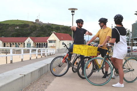 Newcastle Half-Day Bike Tour With Lunch - Accommodation Georgetown 3