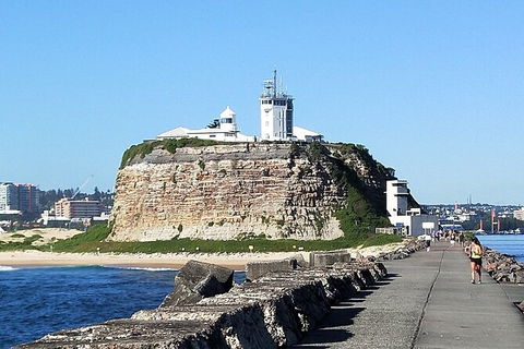 Newcastle Scenic Explorer - 2 Hour Tour By Minibus - Accommodation Georgetown 7