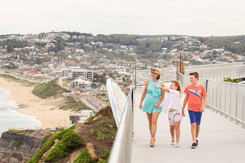 Newcastle Scenic Explorer - 2 Hour Tour By Minibus - Accommodation Georgetown 11