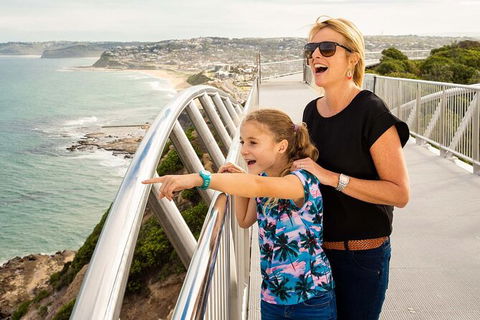 Newcastle Scenic Explorer - 2 Hour Tour By Minibus - Accommodation Georgetown 0