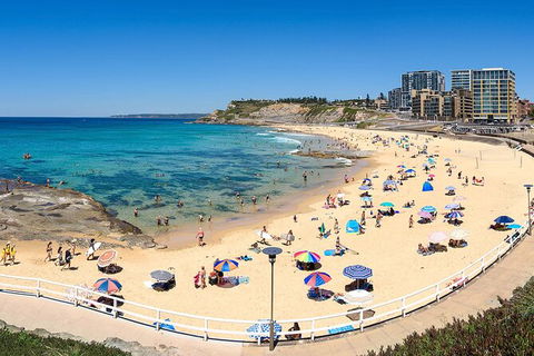 Newcastle Scenic Explorer - 2 Hour Tour By Minibus - Accommodation Georgetown 16
