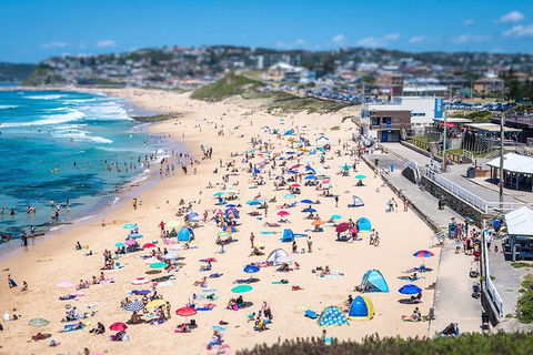Newcastle Scenic Explorer - 2 Hour Tour By Minibus - Accommodation Georgetown 6