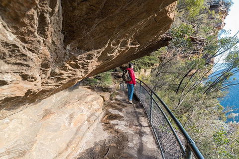 Blue Mountains Highlights & Wildlife Park - Accommodation Georgetown 0
