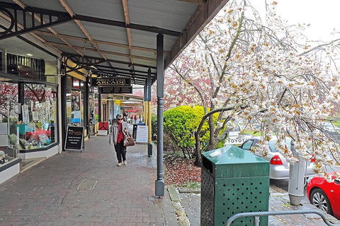 Blue Mountains Highlights & Wildlife Park - Accommodation Georgetown 2