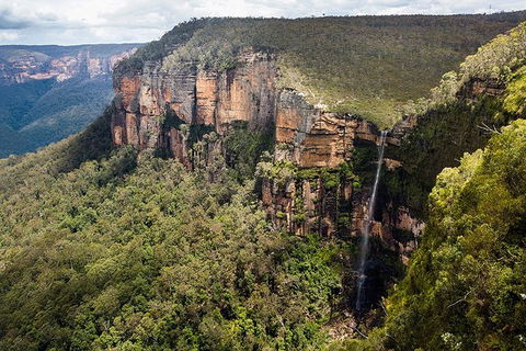 Blue Mountains Highlights & Wildlife Park - Accommodation Georgetown 9
