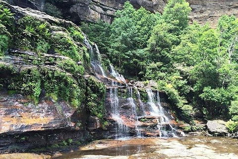 Blue Mountains Highlights & Wildlife Park - Accommodation Georgetown 8