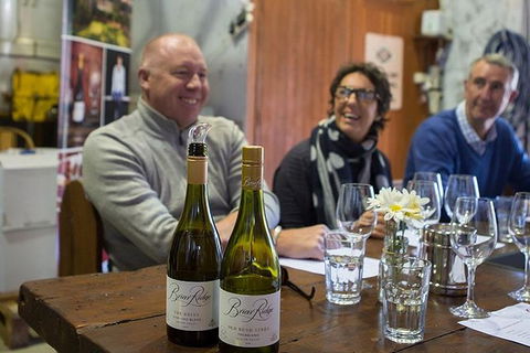 Hunter Valley Highlights Private Wine Tour From Sydney - Accommodation Georgetown 1