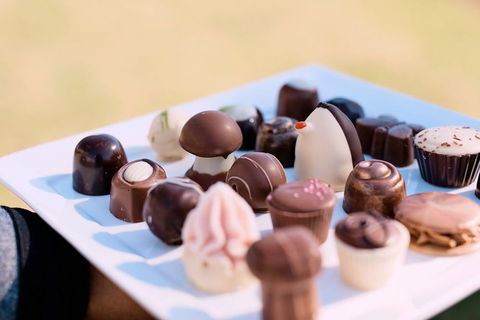 Hunter Valley Highlights Private Wine Tour From Sydney - Accommodation Georgetown 7