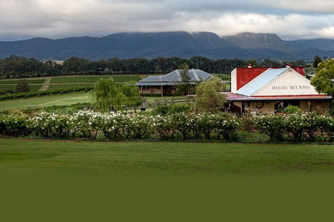 Hunter Valley Highlights Private Wine Tour From Sydney - Accommodation Georgetown 5