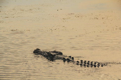 Yellow Water Cruise - Kakadu - Accommodation Georgetown 5